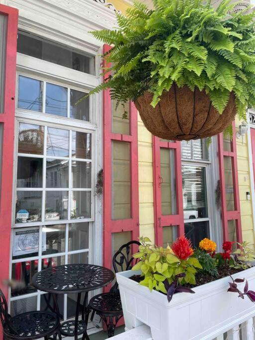 Historic Victorian Studio Near City Park Noma Bayou St John ニューオーリンズ エクステリア 写真